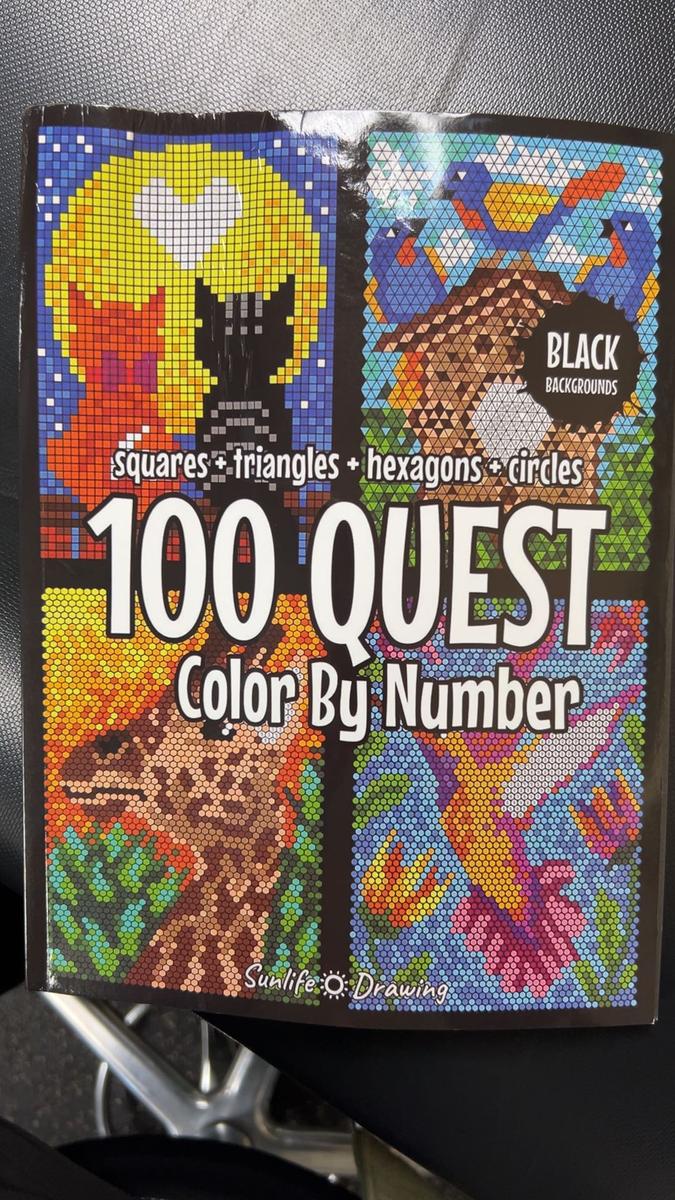100 Questt Color By Number Book