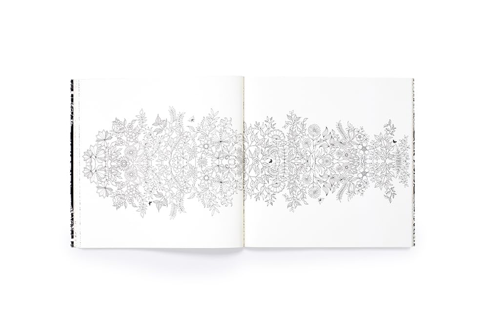 Secret Garden An Inky Treasure Hunt and Colouring Book