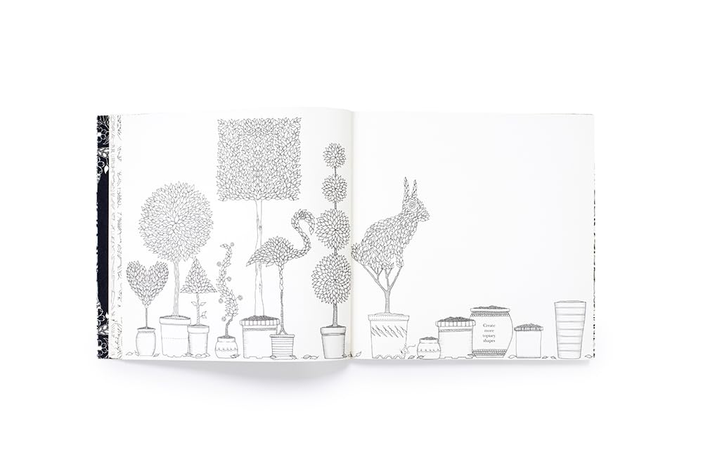 Secret Garden An Inky Treasure Hunt and Colouring Book