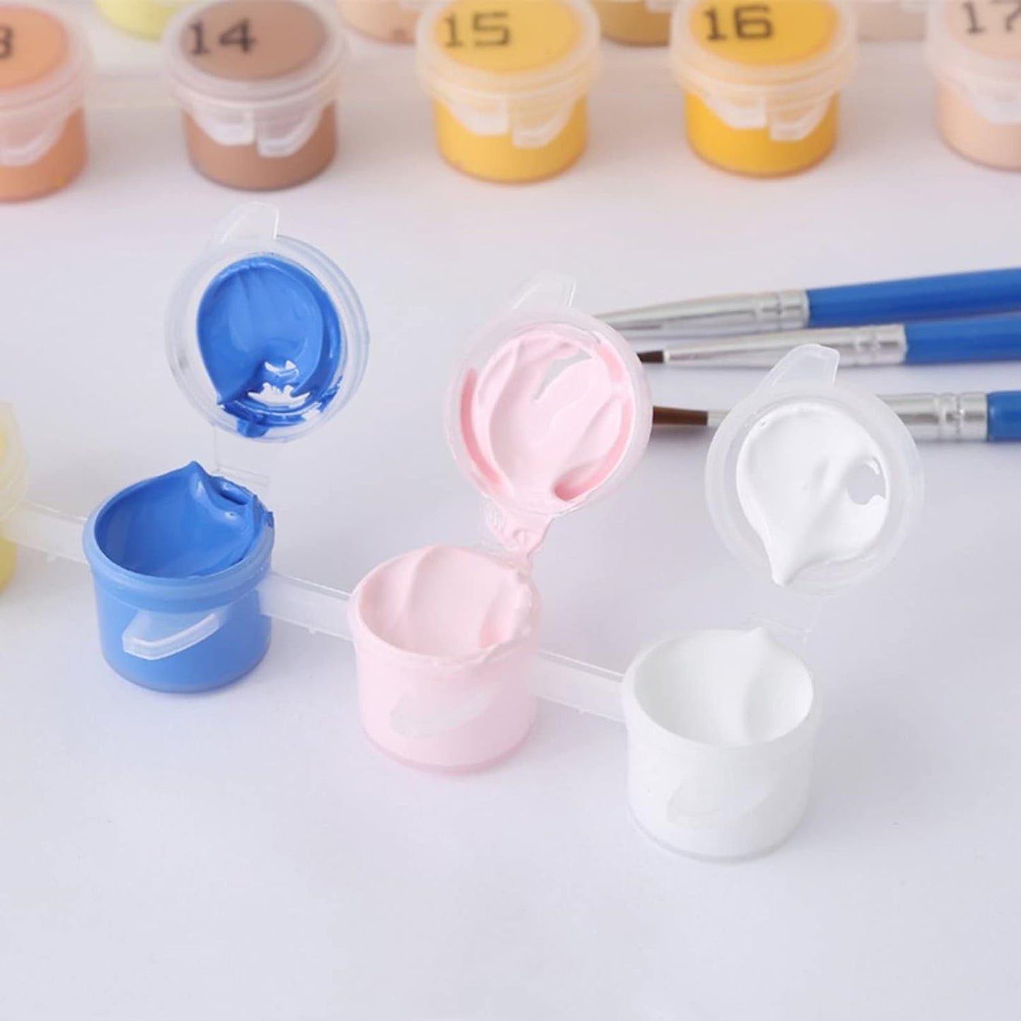 Paint By Numbers Custom Kit