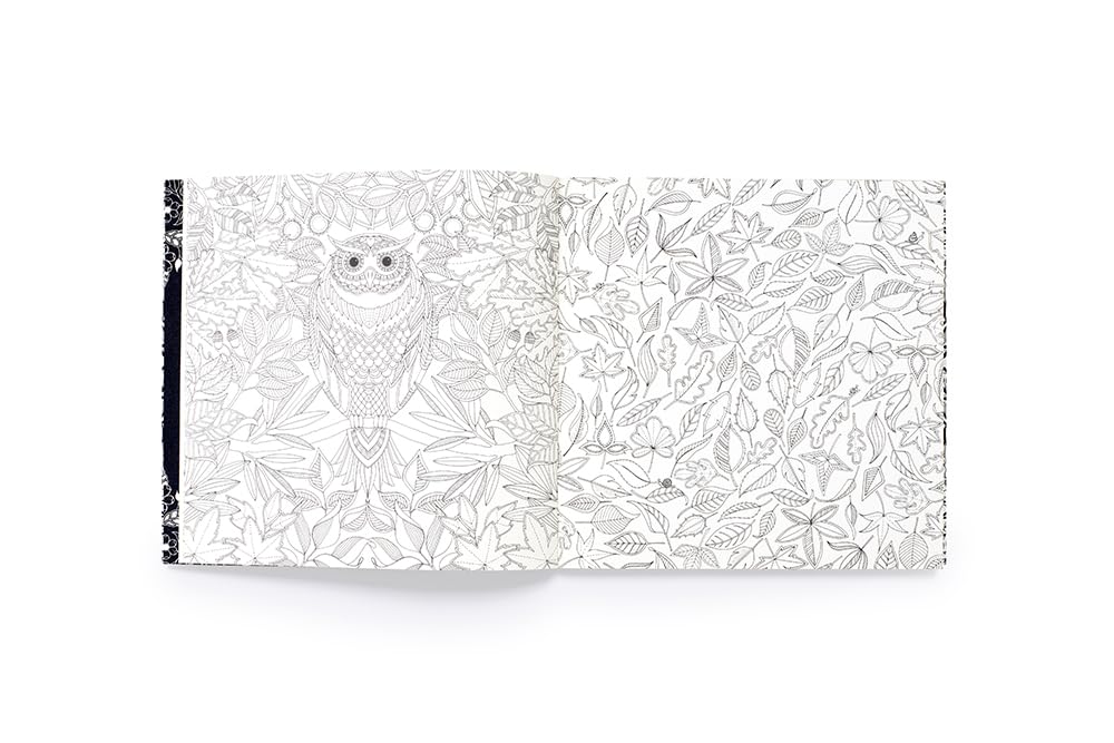 Secret Garden An Inky Treasure Hunt and Colouring Book