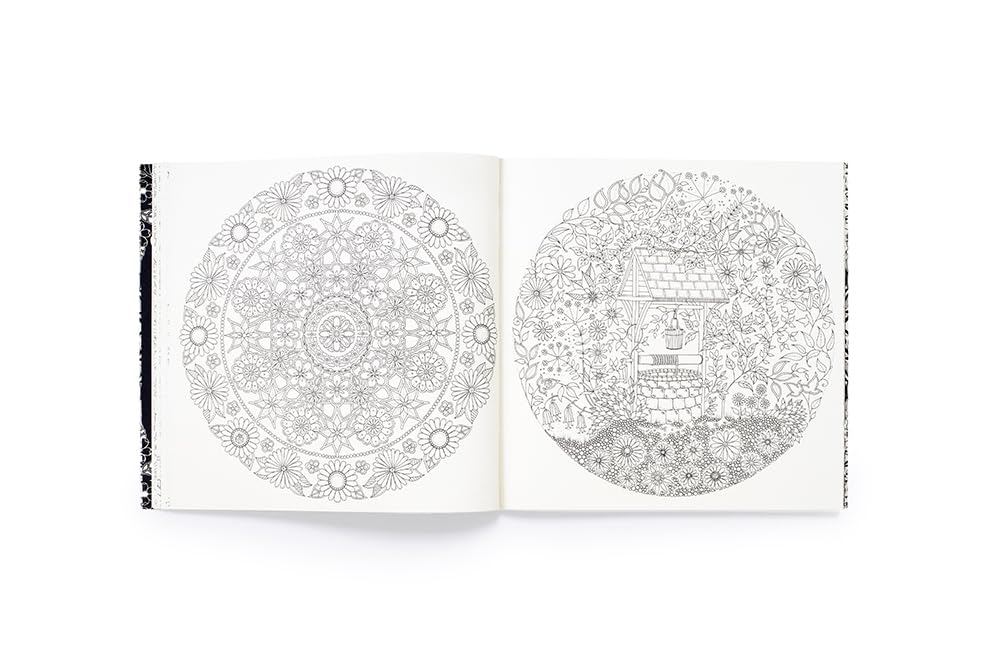 Secret Garden An Inky Treasure Hunt and Colouring Book