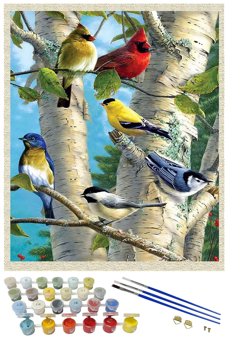 iCoostor Songbird Paint By Numbers