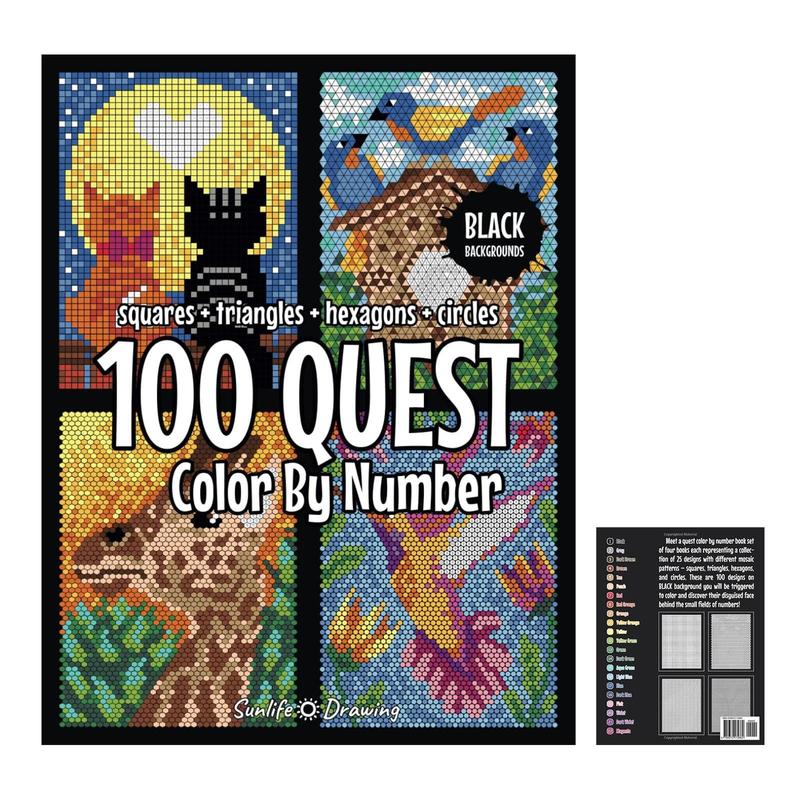 100 Questt Color By Number Book
