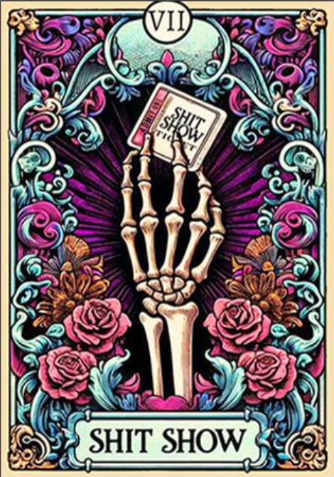 SHIT SHOW Paint By Number