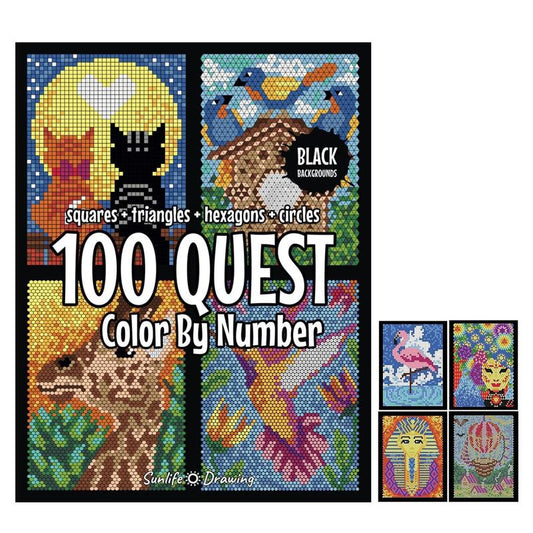 100 Questt Color By Number Book