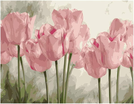 Pink tulip flowers Paint By Numbers