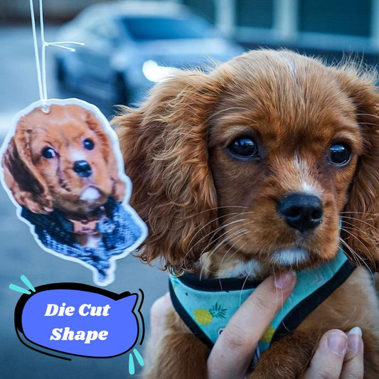 Personalized Photo Air Freshener