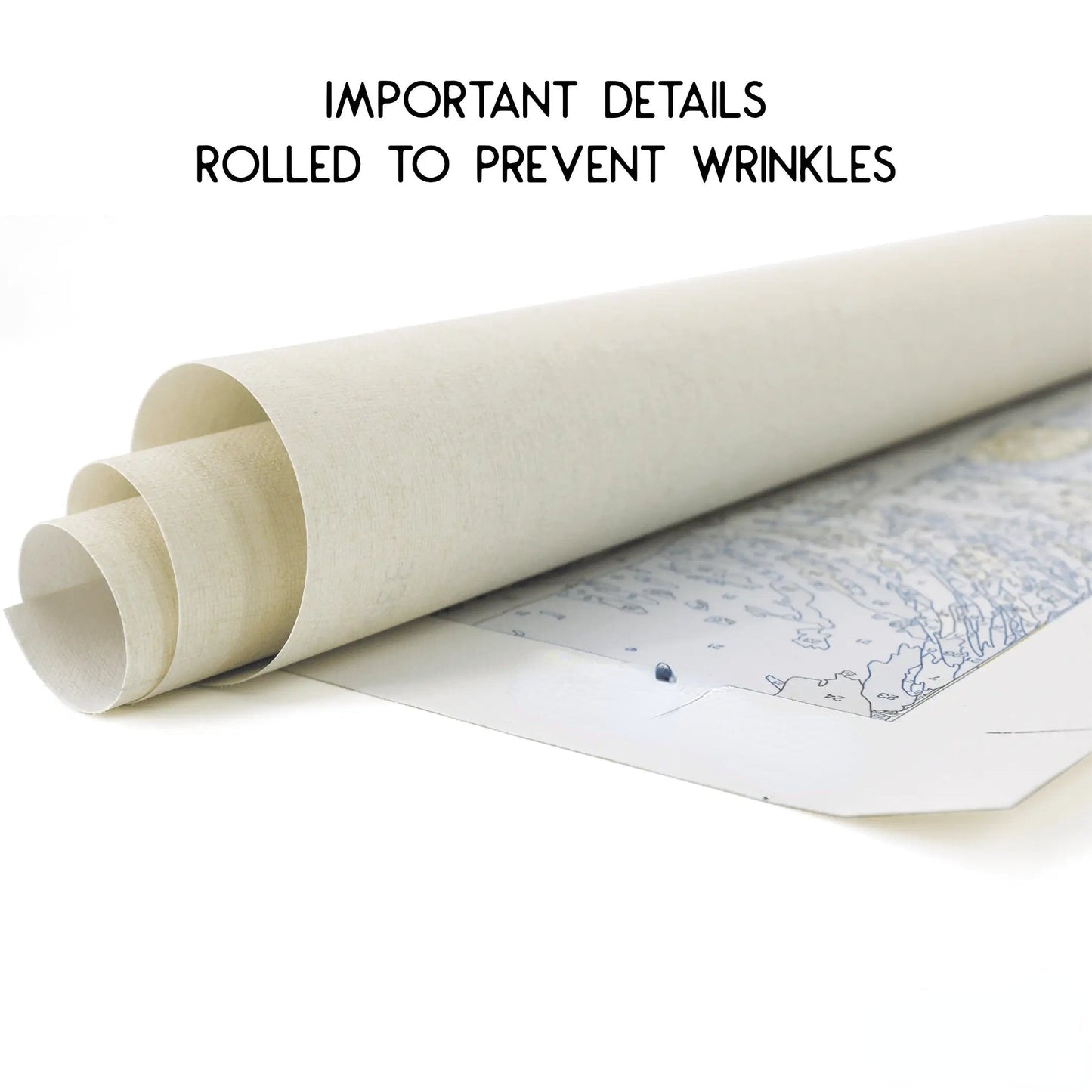 Custom Paint by Numbers