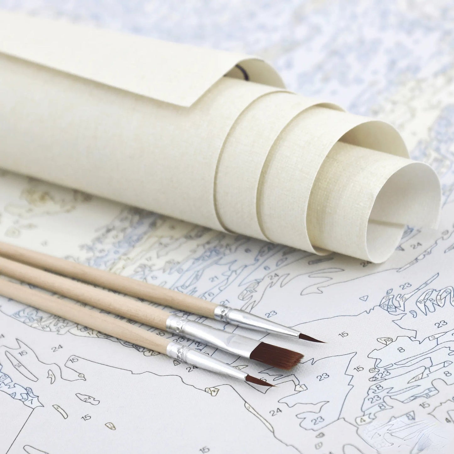 Custom Paint by Numbers Kit