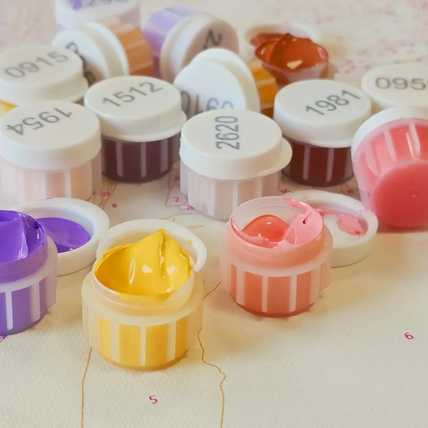 Paint by Numbers Personalised Photo